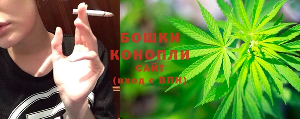 PSILOCYBIN Лагань