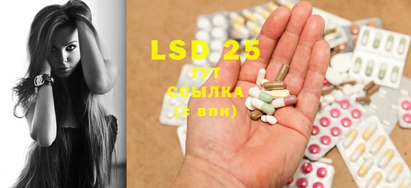 PSILOCYBIN Лагань