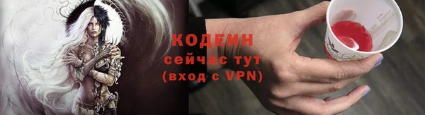 индика Лиски