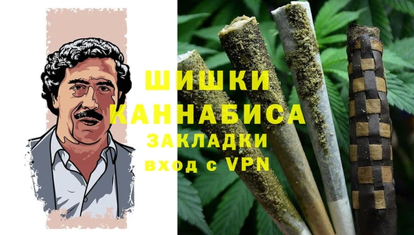 PSILOCYBIN Лагань