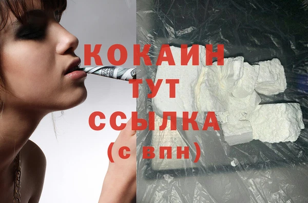 PSILOCYBIN Лагань