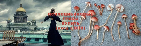 PSILOCYBIN Лагань