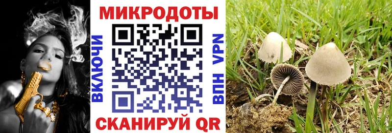 Купить закладки  Боготол  Галлюциногенные грибы ЛСД 